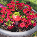 Frog on Mushroom Garden Figurine
