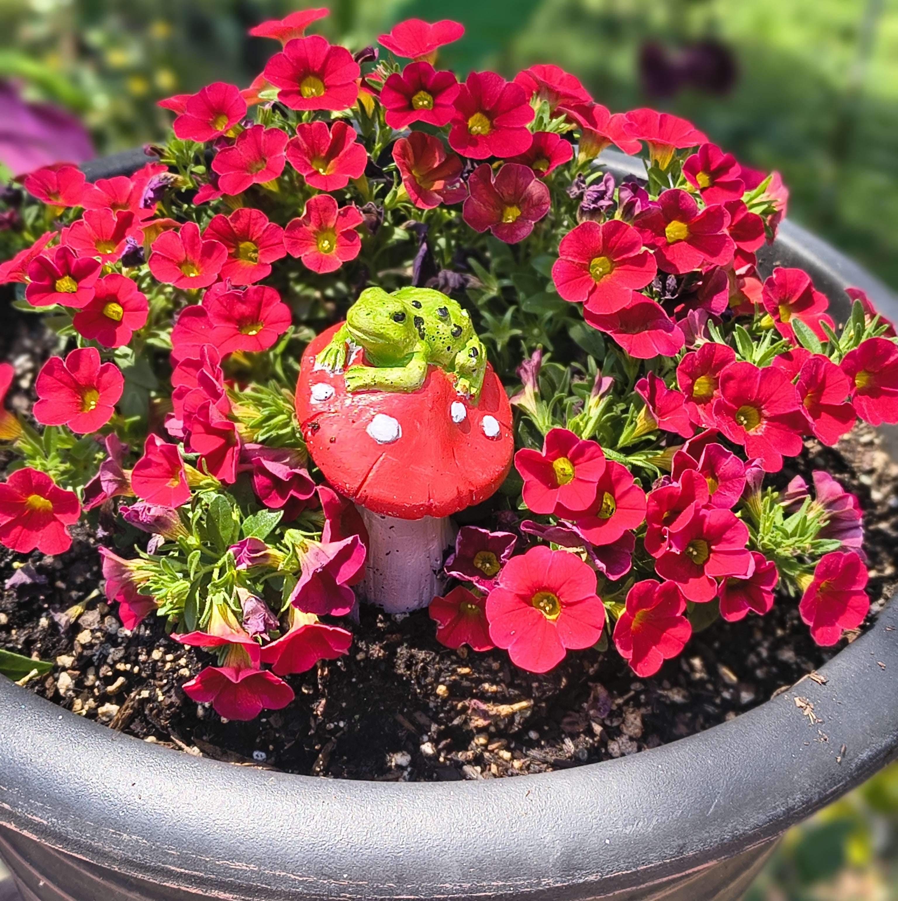 Frog on Mushroom Garden Figurine