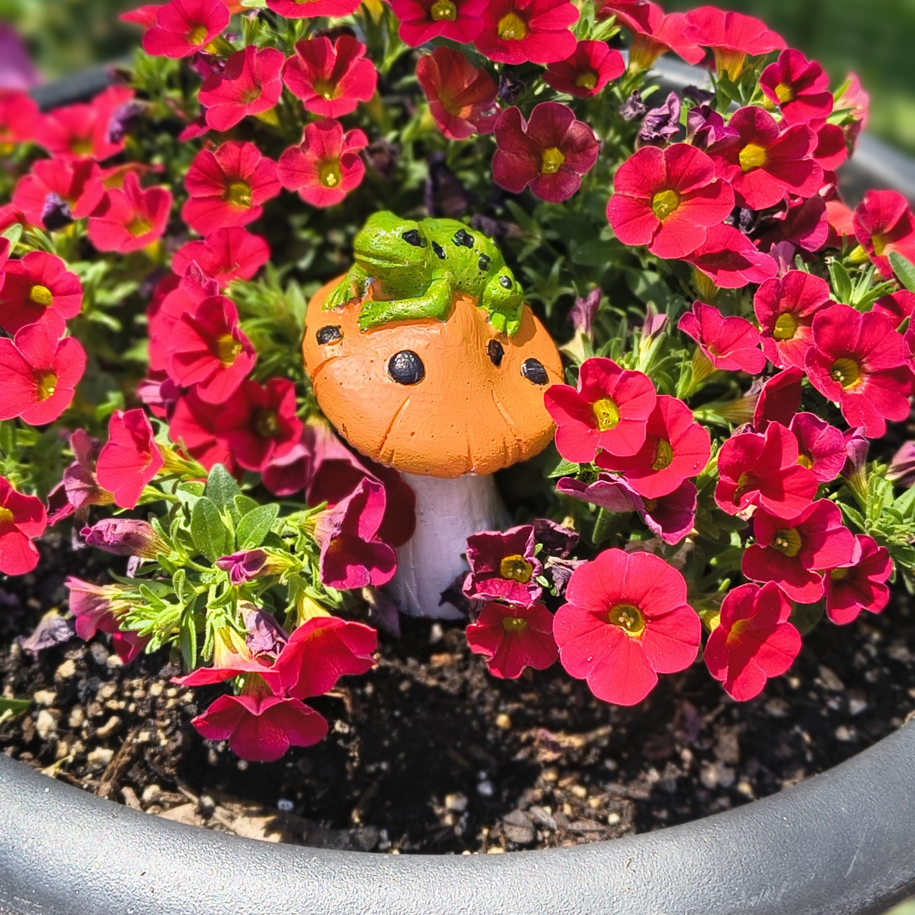 Frog on Mushroom Garden Figurine