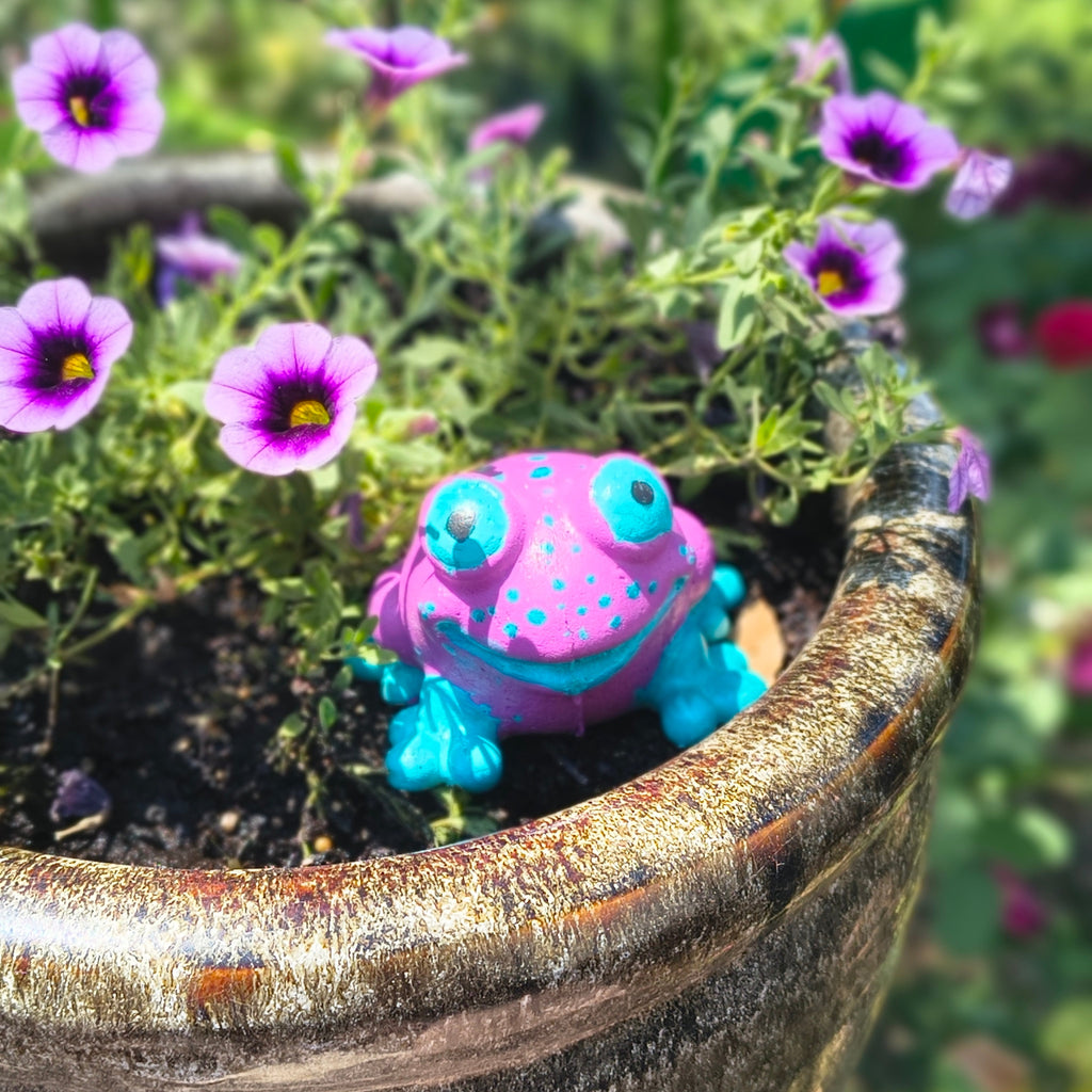 Happy Garden Frog